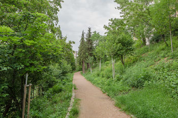 Okolí domu v létě - Prodej bytu 2+kk v osobním vlastnictví 39 m², Brno
