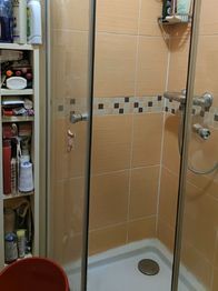 Prodej bytu 1+1 v družstevním vlastnictví 29 m², Ostrava