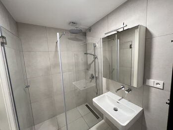 Pronájem bytu 3+kk v osobním vlastnictví 85 m², Praha 6 - Dejvice