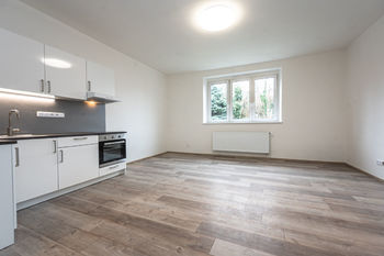 Pronájem bytu 1+kk v osobním vlastnictví 40 m², Praha 8 - Libeň