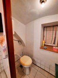 WC - Prodej chaty / chalupy 770 m², Písečné