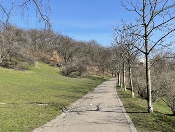 Prodej bytu 2+1 v osobním vlastnictví 74 m², Praha 3 - Žižkov