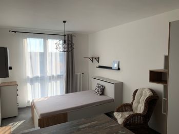 Pronájem bytu 1+kk v osobním vlastnictví 42 m², Havířov