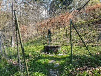 Prodej chaty / chalupy 55 m², Hlubočky