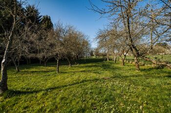 Prodej domu 100 m², Meziříčí