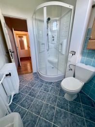 Koupelna s wc v 2.NP  - Prodej domu 210 m², Tochovice