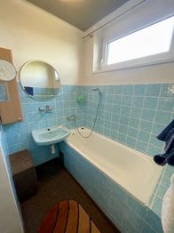 Samostatná koupelna ve 3.NP - Prodej domu 210 m², Tochovice