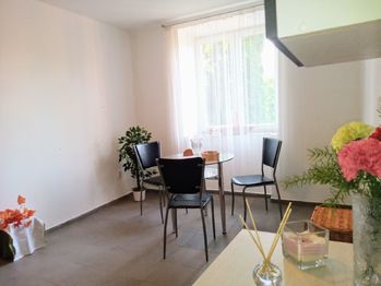 Prodej bytu 1+1 v osobním vlastnictví 40 m², Velké Březno