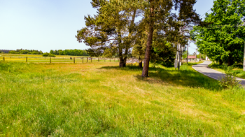 Prodej pozemku 3750 m², Česká Lípa