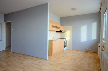 Pronájem bytu 4+1 v družstevním vlastnictví 79 m², Litvínov