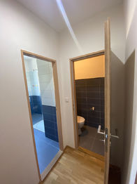 Koupelna a odělenné WC  - Prodej bytu 2+kk v osobním vlastnictví 47 m², Kořenov