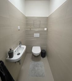 Pronájem bytu 3+kk v družstevním vlastnictví 80 m², Liberec