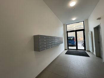 Pronájem bytu 3+kk v družstevním vlastnictví 80 m², Liberec