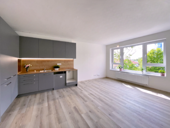 Pronájem bytu 4+kk v osobním vlastnictví 75 m², České Budějovice