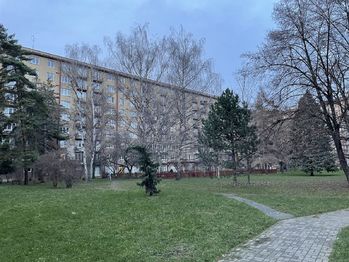 Pronájem bytu 2+1 v osobním vlastnictví 55 m², Praha 10 - Vršovice