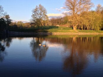 Pronájem bytu 1+kk v osobním vlastnictví 20 m², Praha 9 - Hloubětín