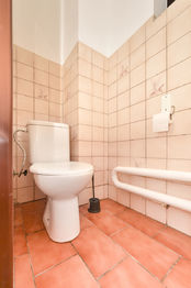 Toaleta přízemí - Prodej domu 153 m², Oselce