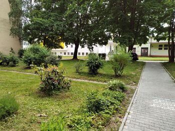 Pronájem bytu 2+1 v osobním vlastnictví 52 m², Ostrava