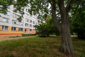 Okolí - Prodej bytu 3+1 v osobním vlastnictví 68 m², Praha 8 - Střížkov