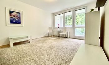 Prodej bytu 1+kk v osobním vlastnictví 28 m², Pardubice