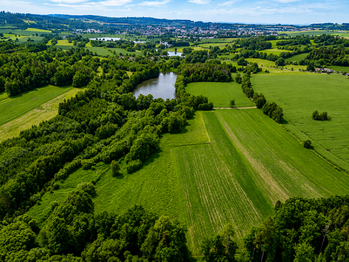 Prodej pozemku 190028 m², Čejov