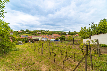 Prodej domu 250 m², Klobouky u Brna