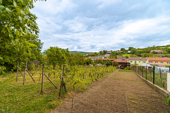 Prodej domu 250 m², Klobouky u Brna