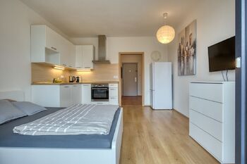Pronájem bytu 1+kk v osobním vlastnictví 29 m², Plzeň