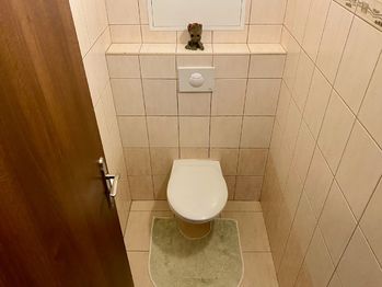 Samostatné WC - Prodej bytu 2+kk v osobním vlastnictví 73 m², Kolín
