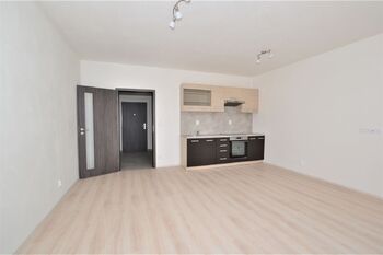 Pronájem bytu 1+kk v osobním vlastnictví 37 m², Plzeň