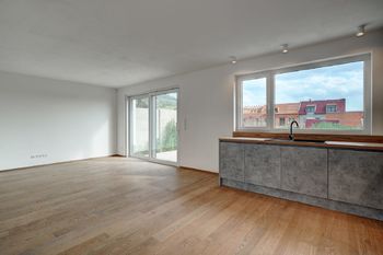 Obývací pokoj s kuchyňskou linkou, krbem a vstupem na terasu - Prodej domu 132 m², Dolní Věstonice