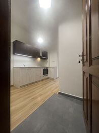 Pronájem bytu 1+1 v osobním vlastnictví 35 m², Olomouc
