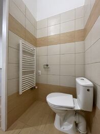 Pronájem bytu 1+1 v osobním vlastnictví 35 m², Olomouc