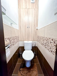 WC - Prodej bytu 2+1 v osobním vlastnictví 61 m², Kamýk nad Vltavou