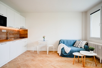 Prodej bytu 1+kk v osobním vlastnictví 36 m², Brno