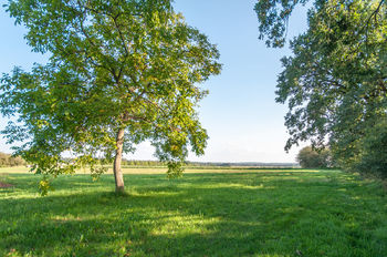 Výhled od usedlosti - Prodej zemědělského objektu 1619 m², Vidice