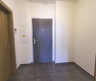 Pronájem bytu 1+kk v osobním vlastnictví 44 m², Plzeň