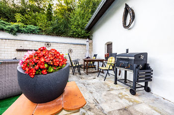 Posezení s grilováním - Prodej domu 100 m², Brozany nad Ohří