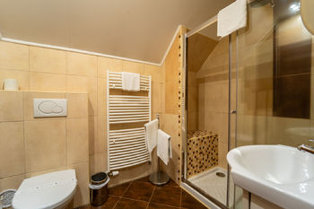 Koupelna se sprchovým koutem v pokoji pro hosty - Prodej hotelu 560 m², Přimda