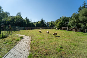 Zahrada s ovcemi - Prodej hotelu 560 m², Přimda