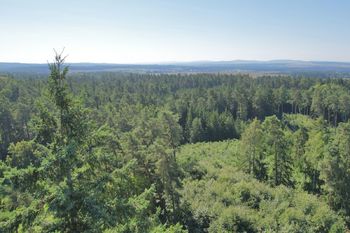 Prodej pozemku 15715 m², Kunžak