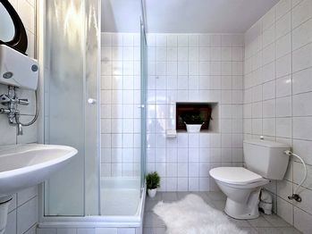koupelna  - Prodej domu 430 m², Jankov