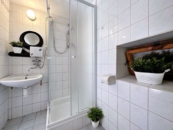 koupelna  - Prodej domu 430 m², Jankov