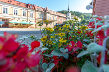 Pronájem bytu 2+kk v osobním vlastnictví 60 m², Svoboda nad Úpou