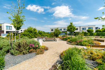 Park u domu - Prodej domu 141 m², Praha 8 - Březiněves