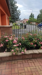 Prodej domu 173 m², Dobroměřice