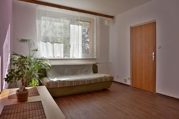 Obývací pokoj - Prodej bytu 1+1 v osobním vlastnictví 43 m², Brno