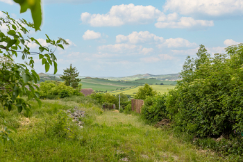Prodej pozemku 2061 m², Chožov