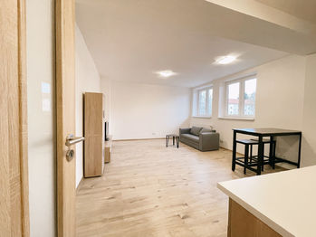 Prodej bytu 1+1 v družstevním vlastnictví 41 m², Písek