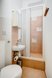 Pronájem bytu 1+1 v osobním vlastnictví 30 m², Brno